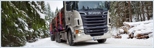 Truck transport, road freight transport, loads for trucking, backway trucks for freight transportation, delivery cargo.